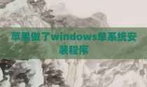 苹果做了windows单系统安装程序