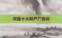 河曲十大特产广告词