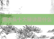 袁大头十大秘诀是什么