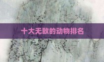 十大无敌的动物排名