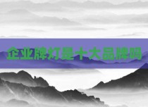 企业牌灯是十大品牌吗