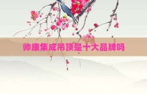 帅康集成吊顶是十大品牌吗