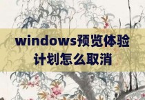 windows预览体验计划怎么取消