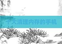 十大清理内存的手机