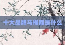 十大品牌马桶都是什么