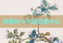 折腾的十大经验是什么