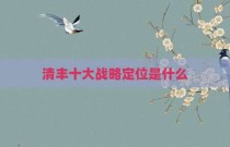 清丰十大战略定位是什么