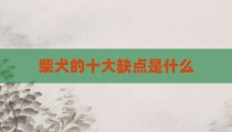 柴犬的十大缺点是什么