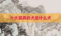 十大禁养的犬是什么犬