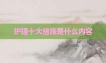 护理十大措施是什么内容