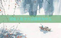 领路人是十大品牌吗为什么