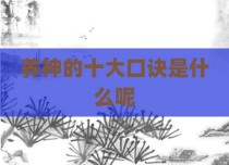 养神的十大口诀是什么呢