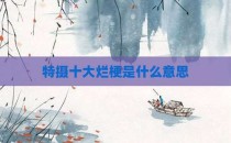 特摄十大烂梗是什么意思