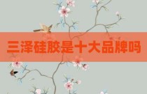三泽硅胶是十大品牌吗