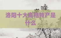 洛阳十大高档特产是什么