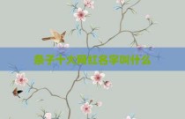 条子十大网红名字叫什么