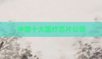 中国十大医疗芯片公司