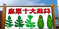 麻栗坡十大产业排名