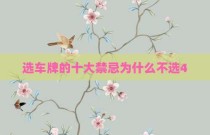 选车牌的十大禁忌为什么不选4
