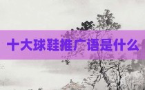 十大球鞋推广语是什么