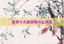 世界十大武功有什么用途