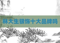 林大生银饰十大品牌吗