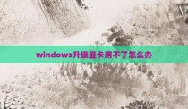 windows升级显卡用不了怎么办