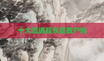 十大流通股东是散户吗