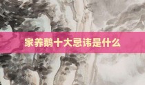 家养鹅十大忌讳是什么