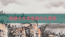 说唱十大术语是什么意思