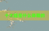 十大姐是什么体裁的