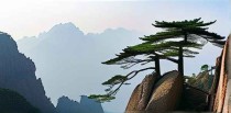 黄山十大怪石是什么