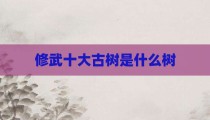 修武十大古树是什么树