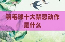 羽毛球十大禁忌动作是什么
