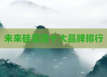未来硅藻泥十大品牌排行