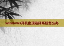 windows开机出现选择系统怎么办