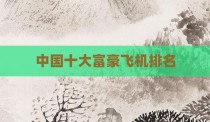 中国十大富豪飞机排名