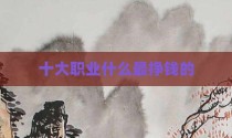 十大职业什么最挣钱的