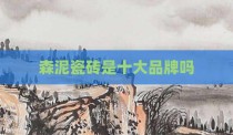 森泥瓷砖是十大品牌吗