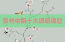 贵州中院十大调研课题
