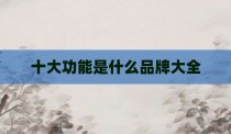 十大功能是什么品牌大全