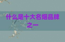 什么是十大名烟品牌之一