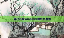 自己开发windows要什么条件