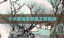 十大顺风车司机工资高吗