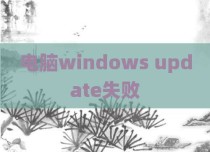电脑windows update失败