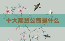 十大期货公司是什么