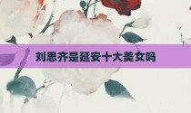 刘思齐是延安十大美女吗