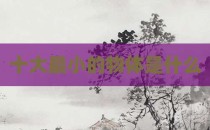 十大最小的物体是什么