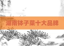 湖南钵子菜十大品牌