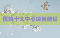 医院十大中心项目建设